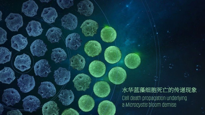移动端与电脑端入口保持一致